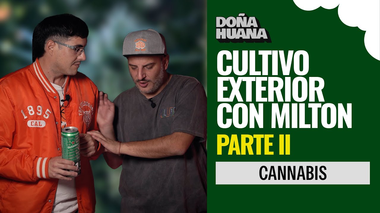 LAS FLORES DE MILTON - PARTE II DE SU CULTIVO EXTERIOR