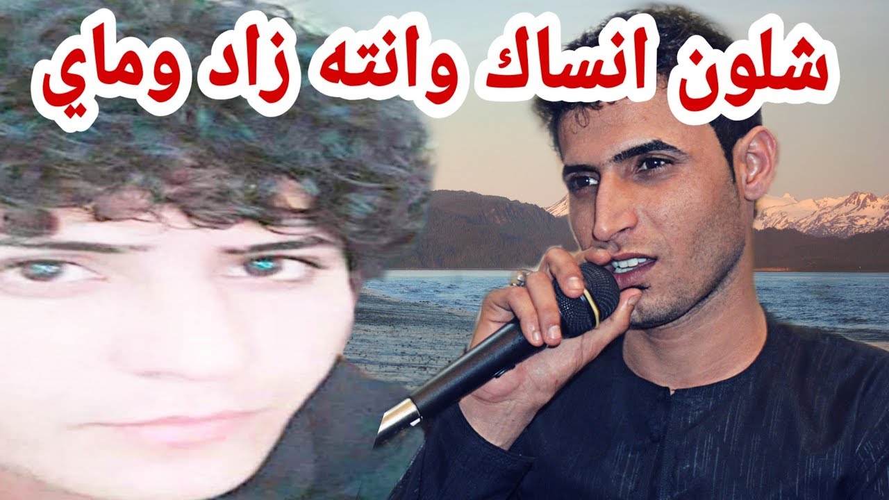 الفنان حيدر النوفلي والفنان حمودي ابو عامر _2019 تنويه طلب احد متابعين