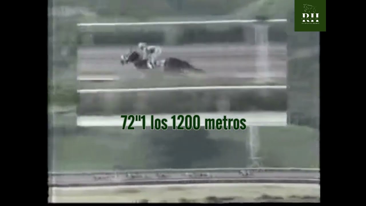 El formidable SIR FLIER gana galopando El Gran Premio Unicria vr Machos del año 1993.