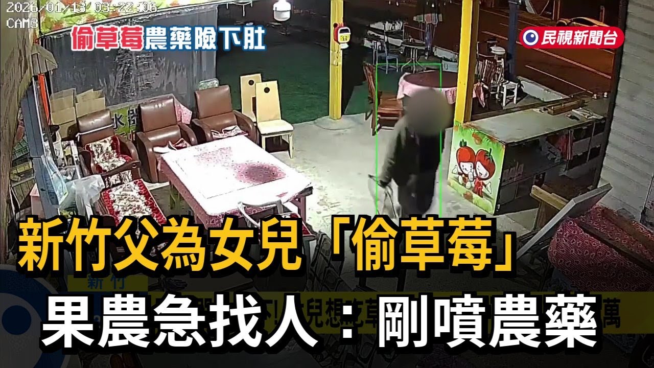 不怕你偷怕你吃！父為女「偷草莓」 果農急找人：剛噴農藥－民視新聞