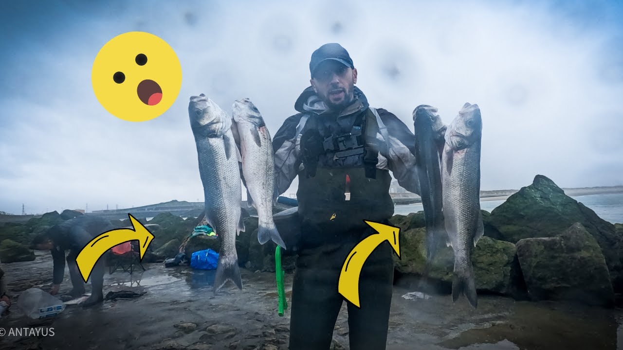 The Ultimate Seabass Fishing Adventure