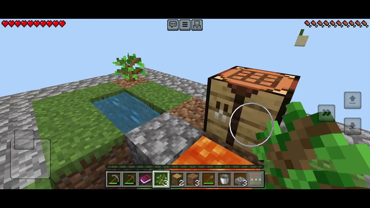Episode 1 skyblock with visitor