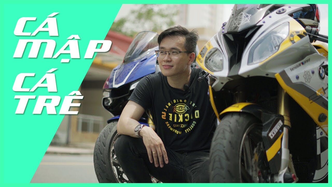 So sánh Cá trê và Cá mập