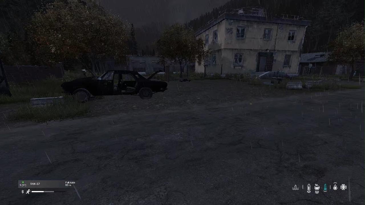 DayZ