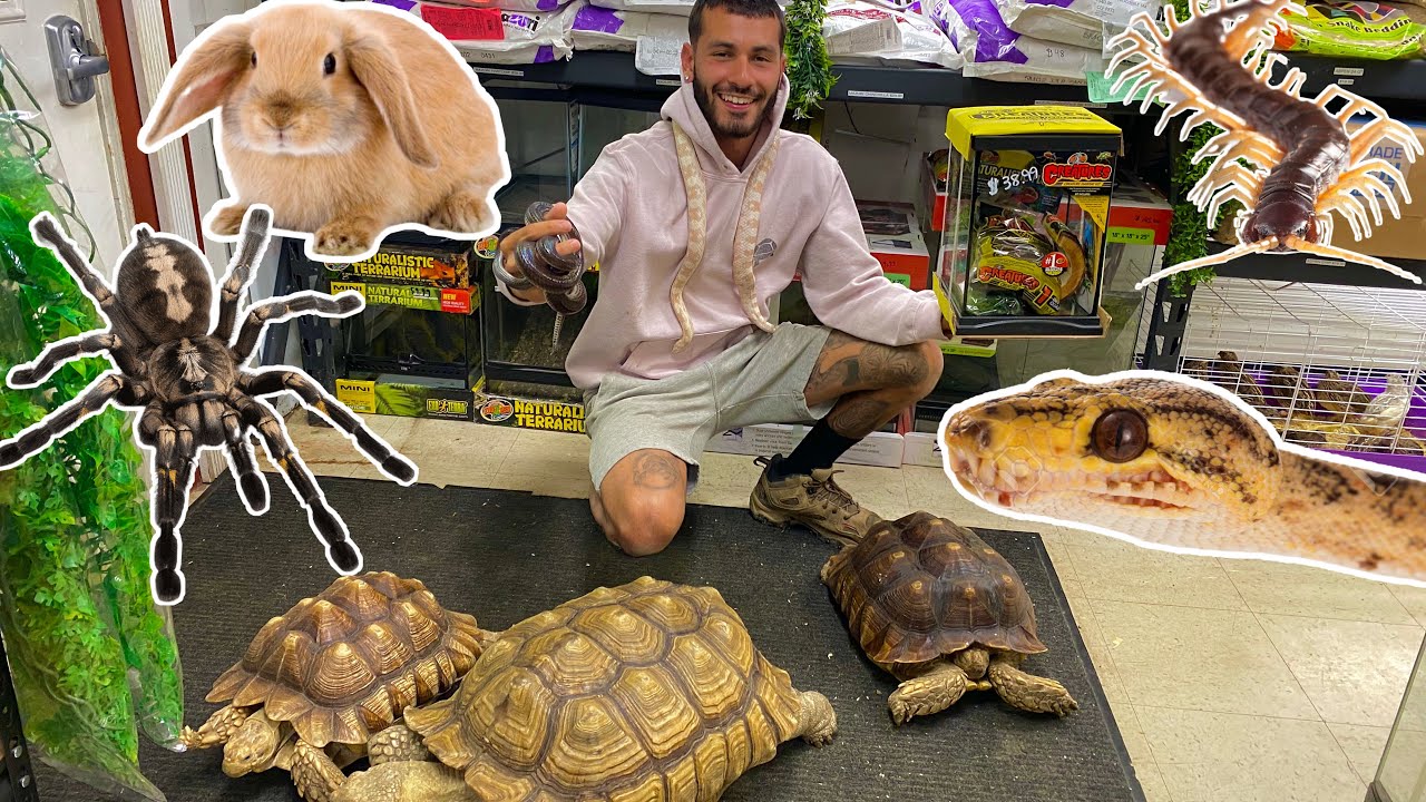 THE SMALLEST & CRAZIEST PET SHOP EVER! SO MANY DIFFERENT PETS!