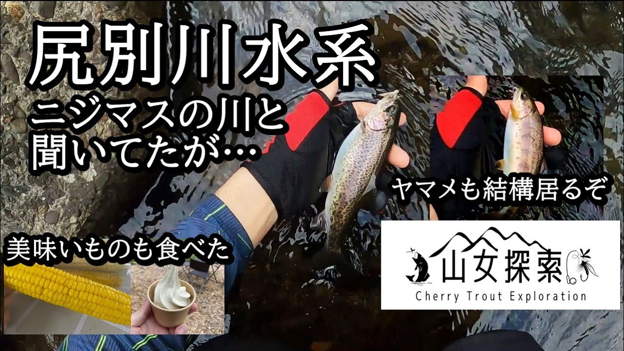 尻別川水系　ニジマス釣りと思いきやヤマメも結構居た川 【 北海道 フライフィッシング 】
