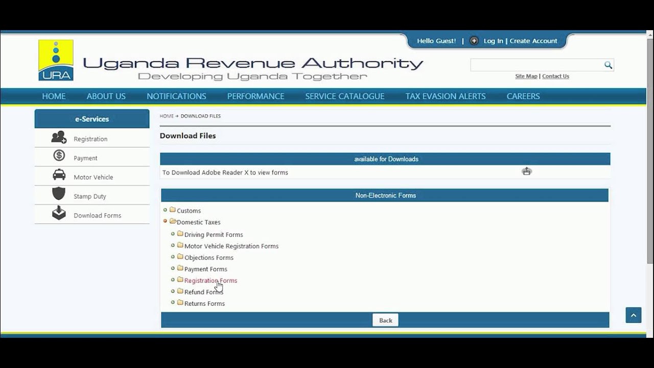 how to amend email address for individuals manually.