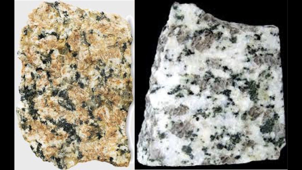TP 2 : Géodynamique interne (Les roches Magmatiques)