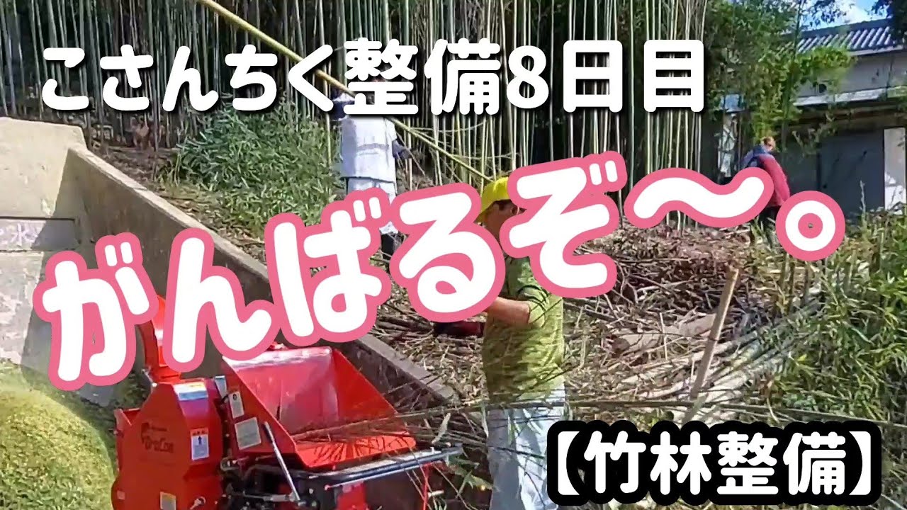 こさんちく整備8日目　　　　　がんばるぞ～。　　　　　　　　　　【竹林整備】　　　
