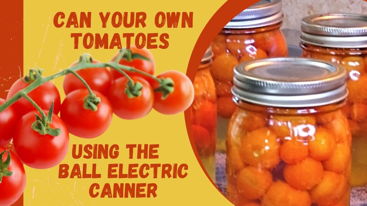 Can your own tomatoes using the BALL Electric Canner.  #homesteading #keto #organicfarming#farmfresh