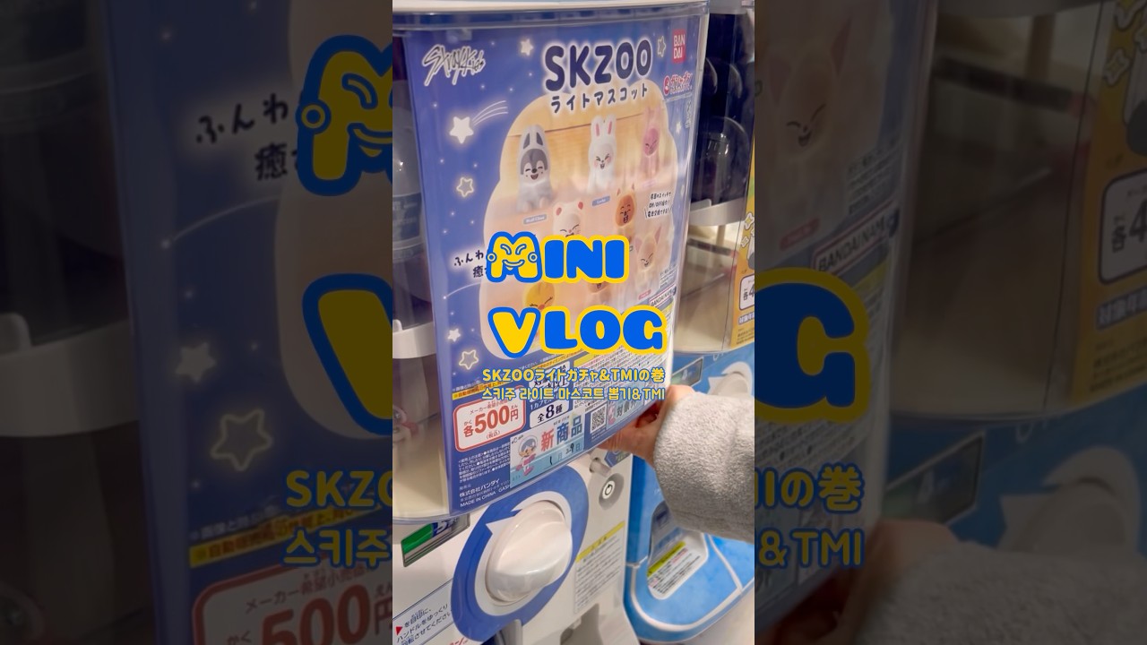 SKZ🦊SKZOOライトマスコットガチャ&SKZ TMI