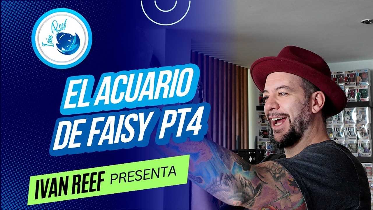 Entregando Los peces Del Acuario de Faisy