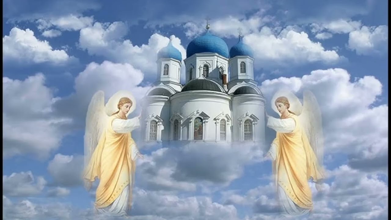 ȚARA MINUNATĂ - Costel Constandache & Timotei Ionescu