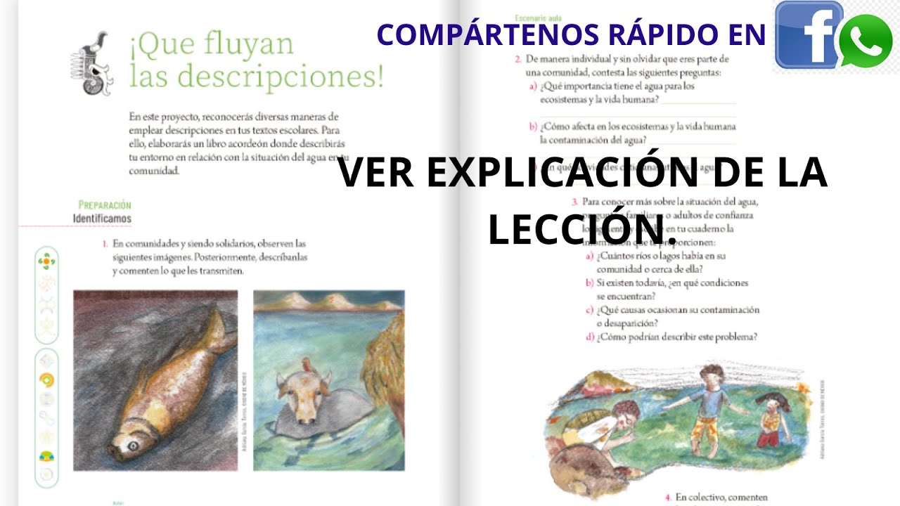 ¡QUE FLUYAN LAS DESCRIPCIONES! Proyectos de Aula, 5o PRIMARIA, Pag. 10 #escuela #educativa #aprender
