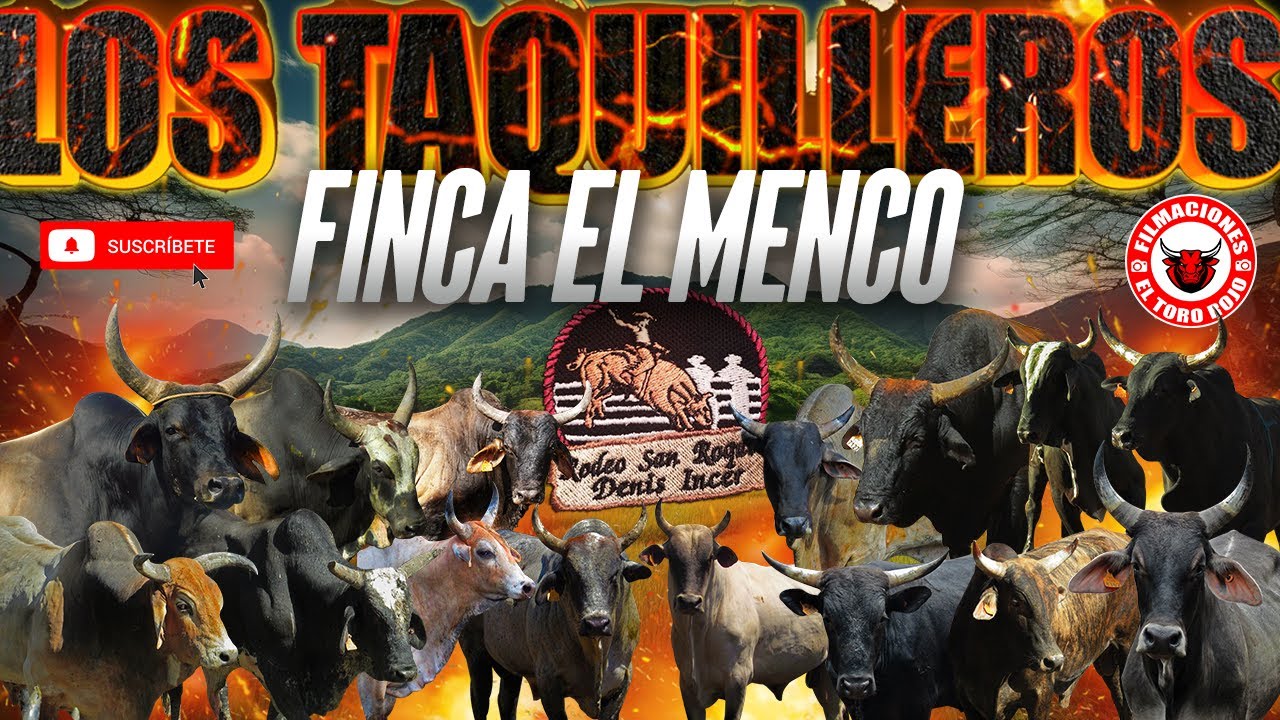 GANADERIA DENIS INCER NUEVAS ADQUISICIONES TOROS TRIPLE AAA