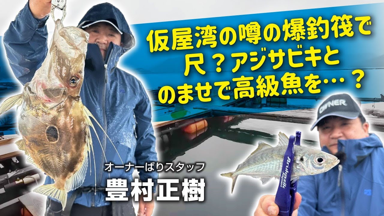 手軽にサビキ釣りが楽しめるアジ爆釣イカダ