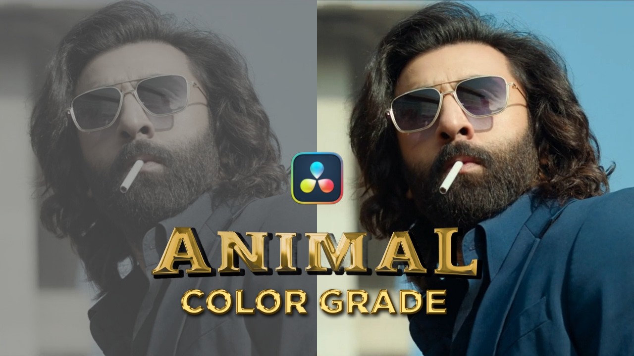 Animal Color Grading Breakdown | Davinci Resolve Tutorial in Hindi-Urdu