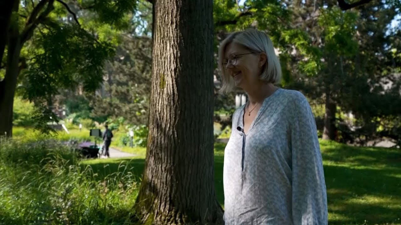 gesundheit heute: Wenn das Immunsystem nicht mehr richtig tickt