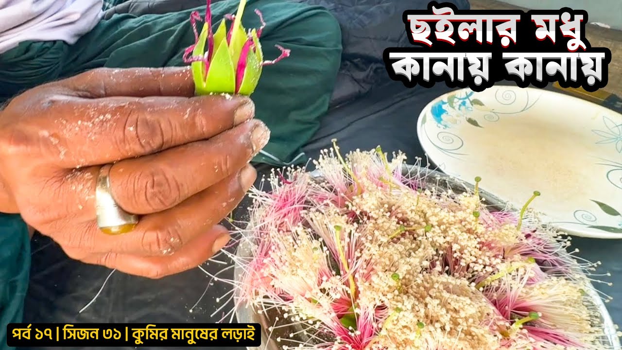ছইলার মধু কানায় কানায় | পর্ব ১৭ | সিজন ৩১ | বাঘ কুমিরের লড়াই | Belayet Sarder | Mohsin ul Hakim