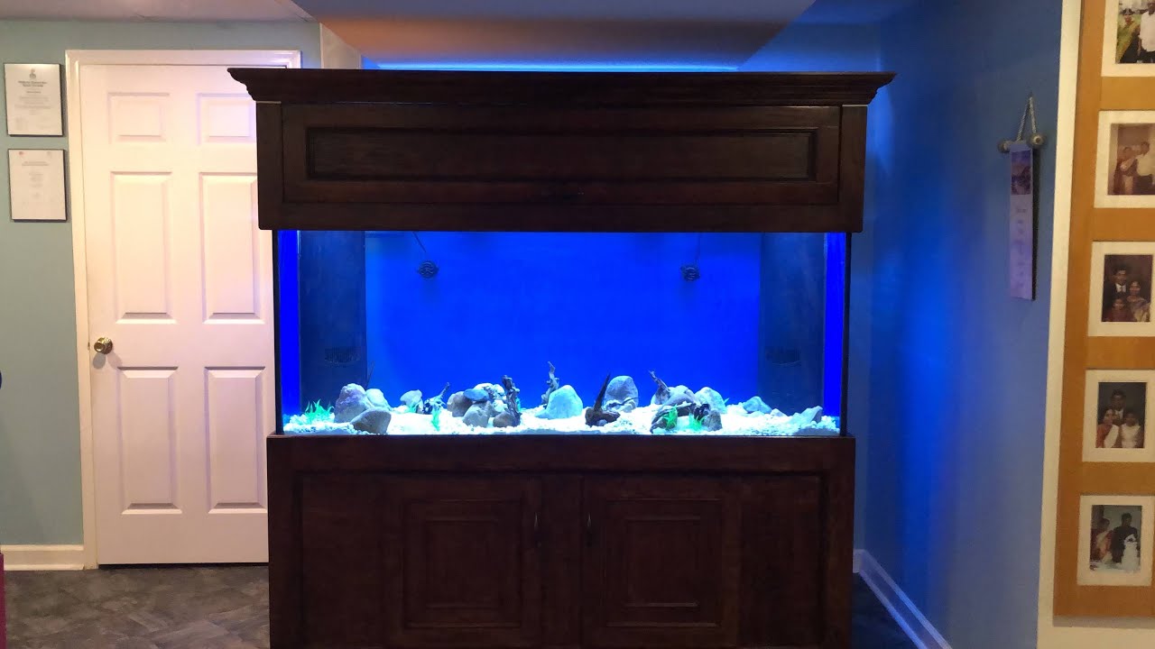 Custom built 220 gallon aquarium stand and canopy.
