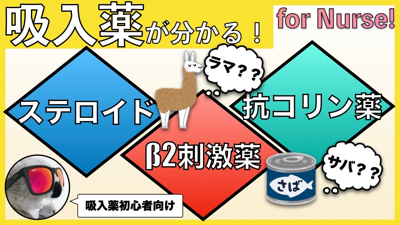 【吸入薬】吸入ステロイド・β2刺激薬・抗コリン薬が分かる動画【初心者向け】