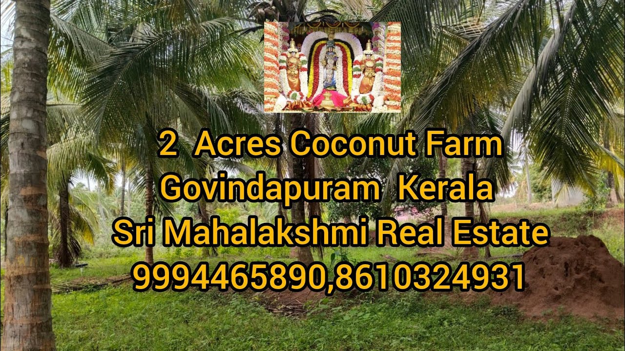 243) 2 Acres Coconut Farm | Govindapuram | Kerala |#srimahalakshmirealestate
