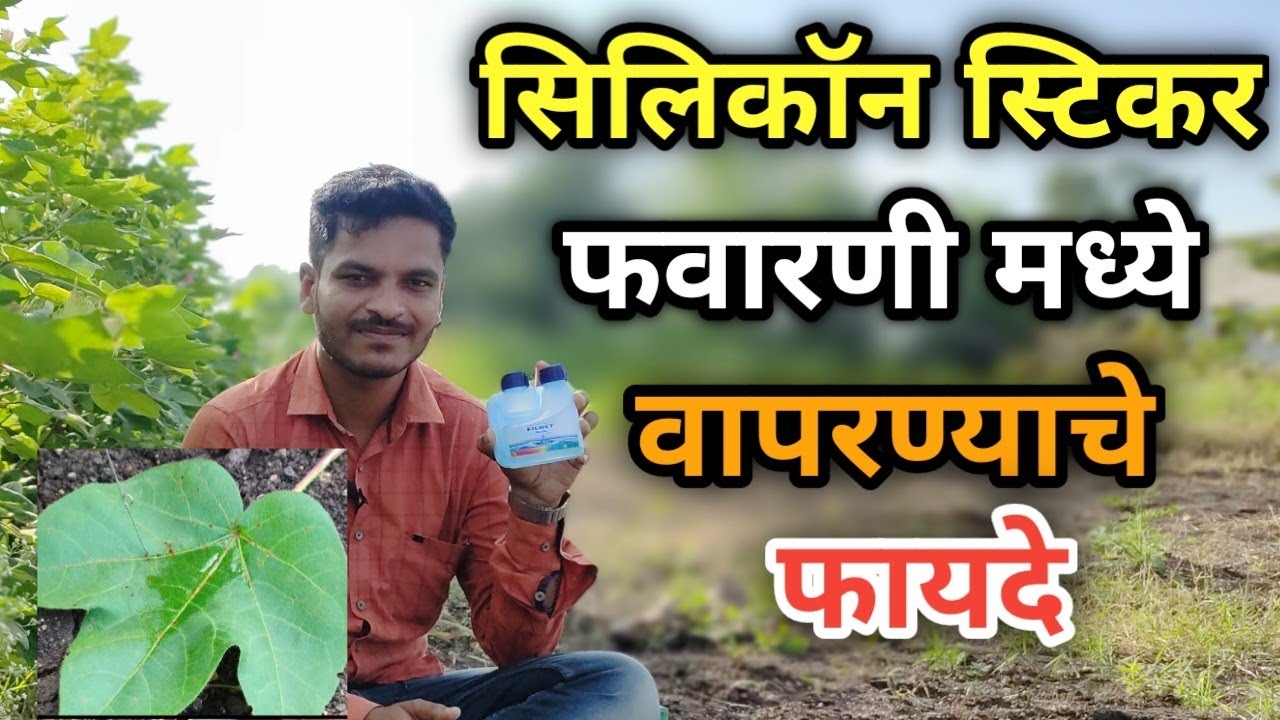 सिलिकॉन स्टिकर फवारणी मध्ये वापरण्याचे फायदे /silicon sticker use / favarnimadhe silicon sticker