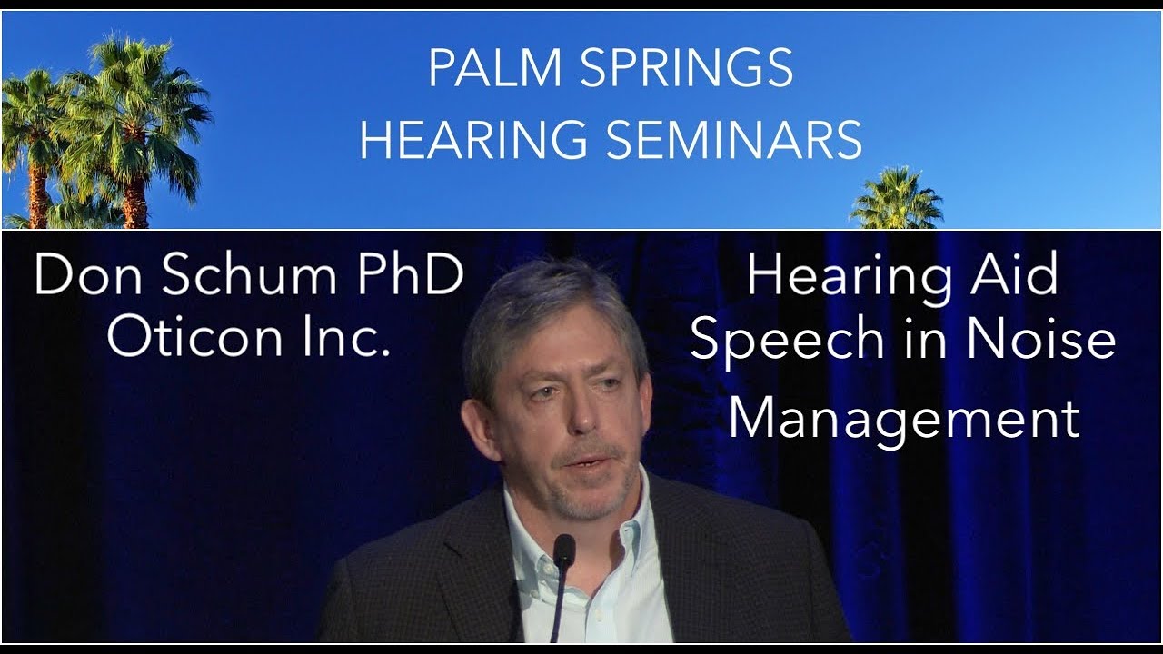 Hearing Aids: Current Approaches to the Speech in Noise Problem