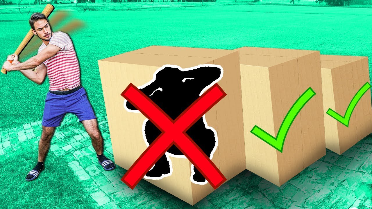 NEMOJ UDARITI POGREŠNU KUTIJU *Mystery Box Challenge*