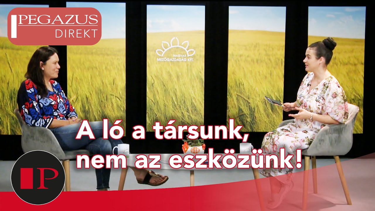 A ló a társunk, nem az eszközünk! | Pegazus Direkt