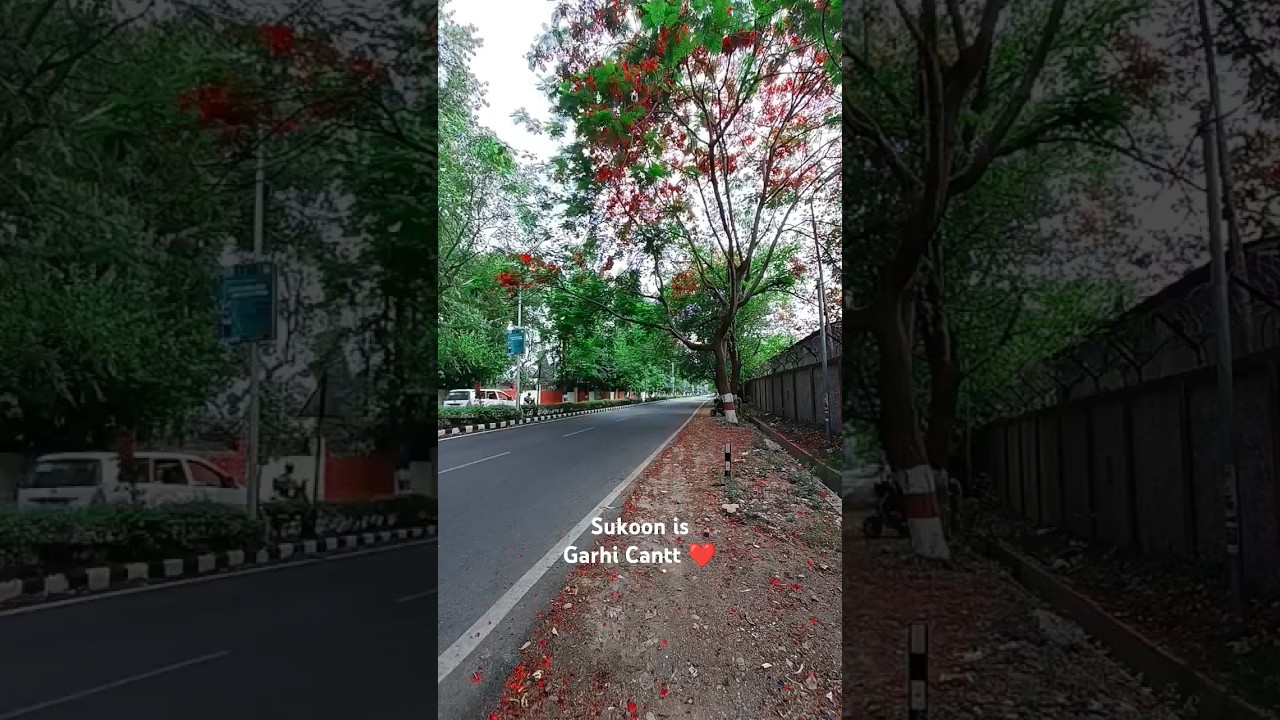 Sukoon is Garhi Cantt in summer ❤️| Dehradun the city of love 