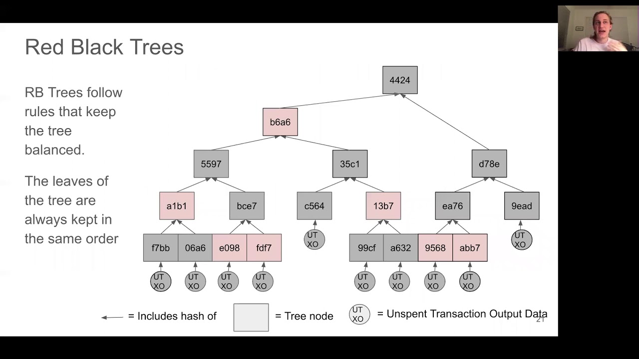 Merkle Trees Optimized for Stateless Clients inBitcoin
