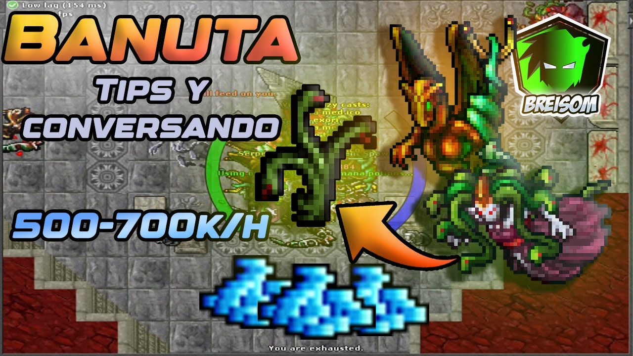 Banuta es infravalorado! PROFIT Y EXP EN 1 SOLO LUGAR  | Tibia Hunt de 500 a 700k en 1h EK ED MS RP