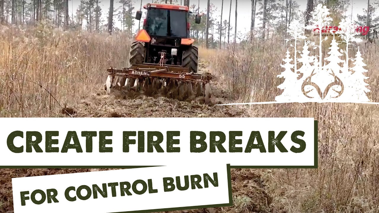 Prescribed Fire | How to Create Firebreaks for Controlled Burns | Pay Dirt