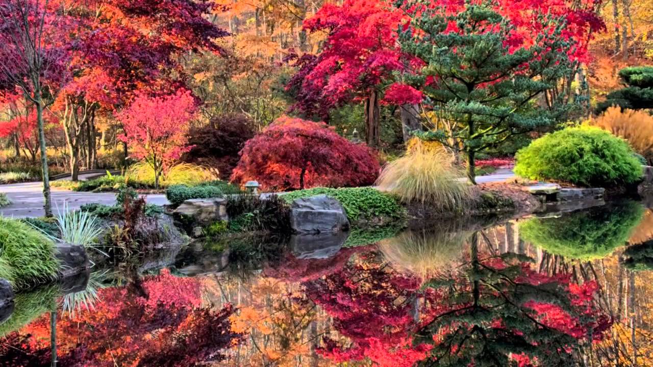 Gibbs Gardens --- Japanese Maples Colorfest