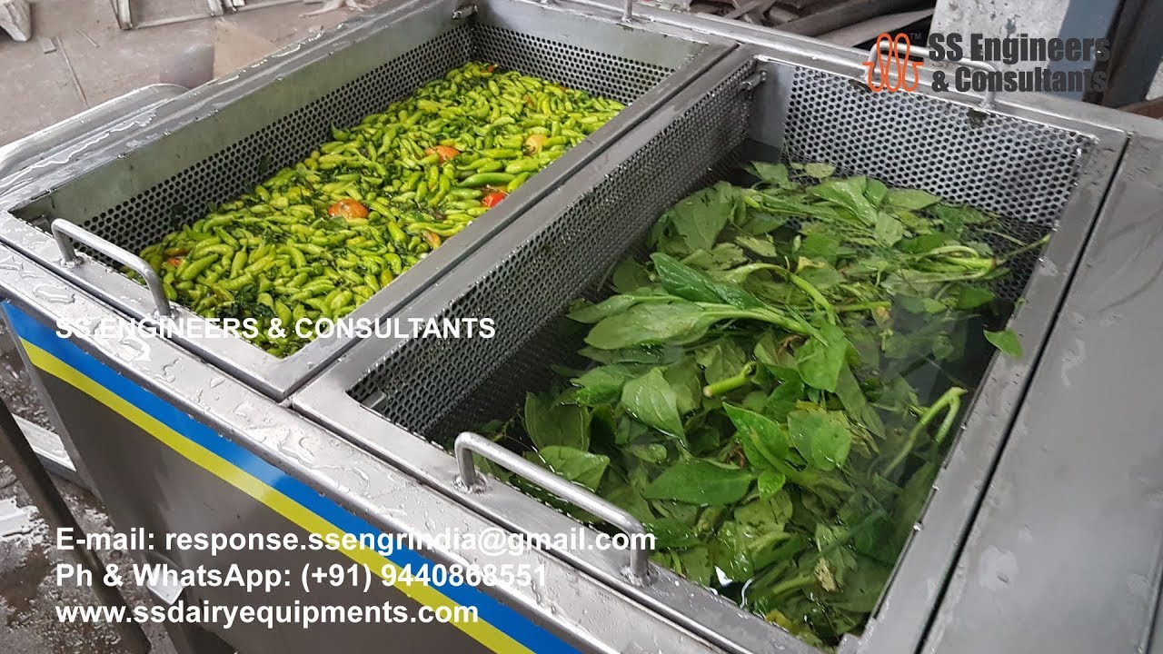 Blanching and Cooling Equipment for Cut Vegetables | Leafy Greens