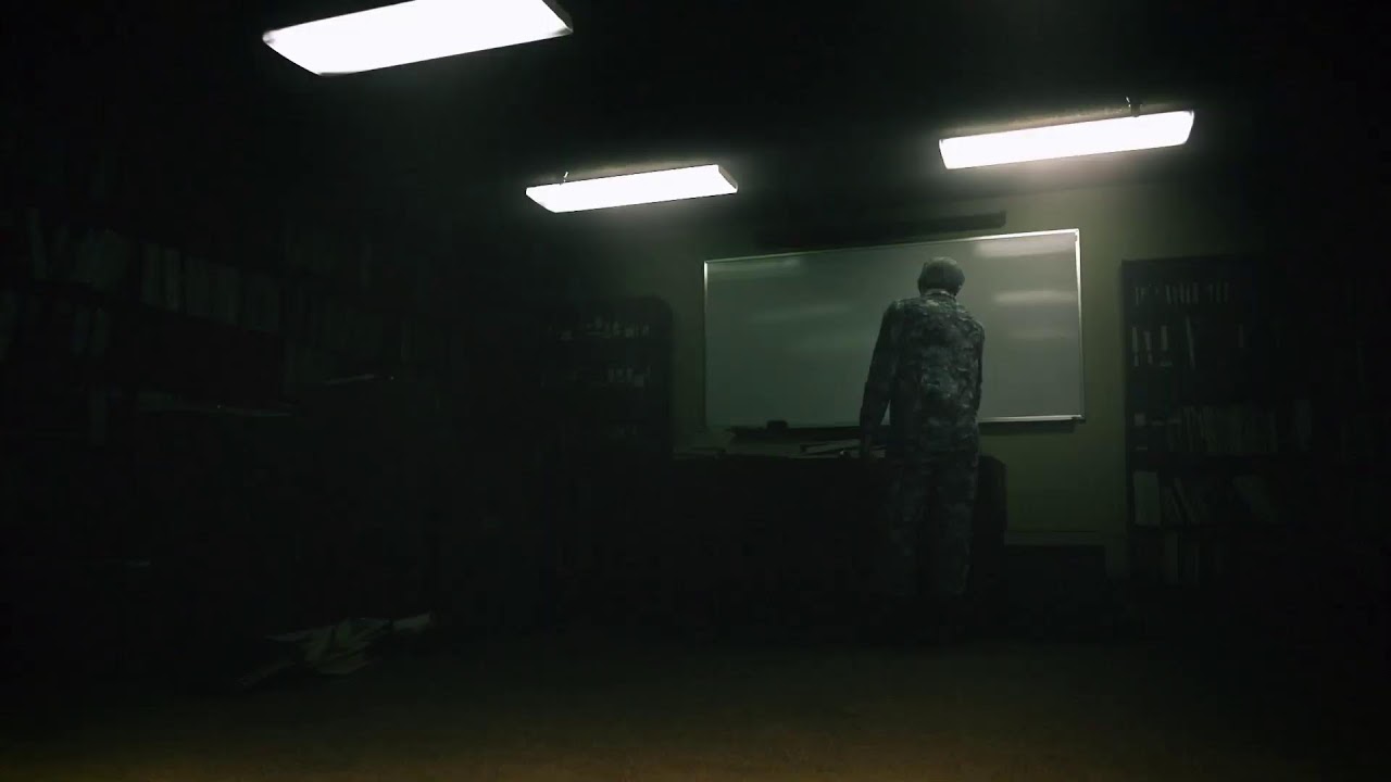 Ace combat 7 live