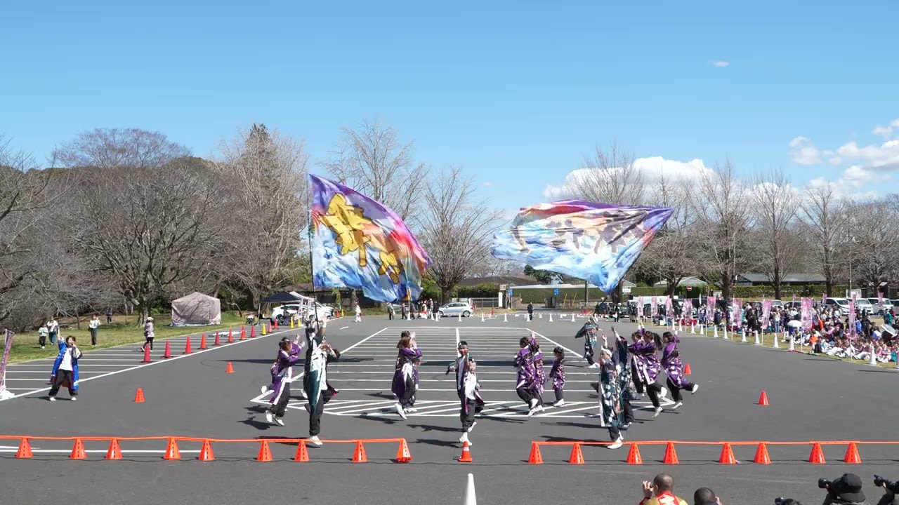 明海よさこい連 / SAKURAよさこい奏蘭 / 2026-03-15