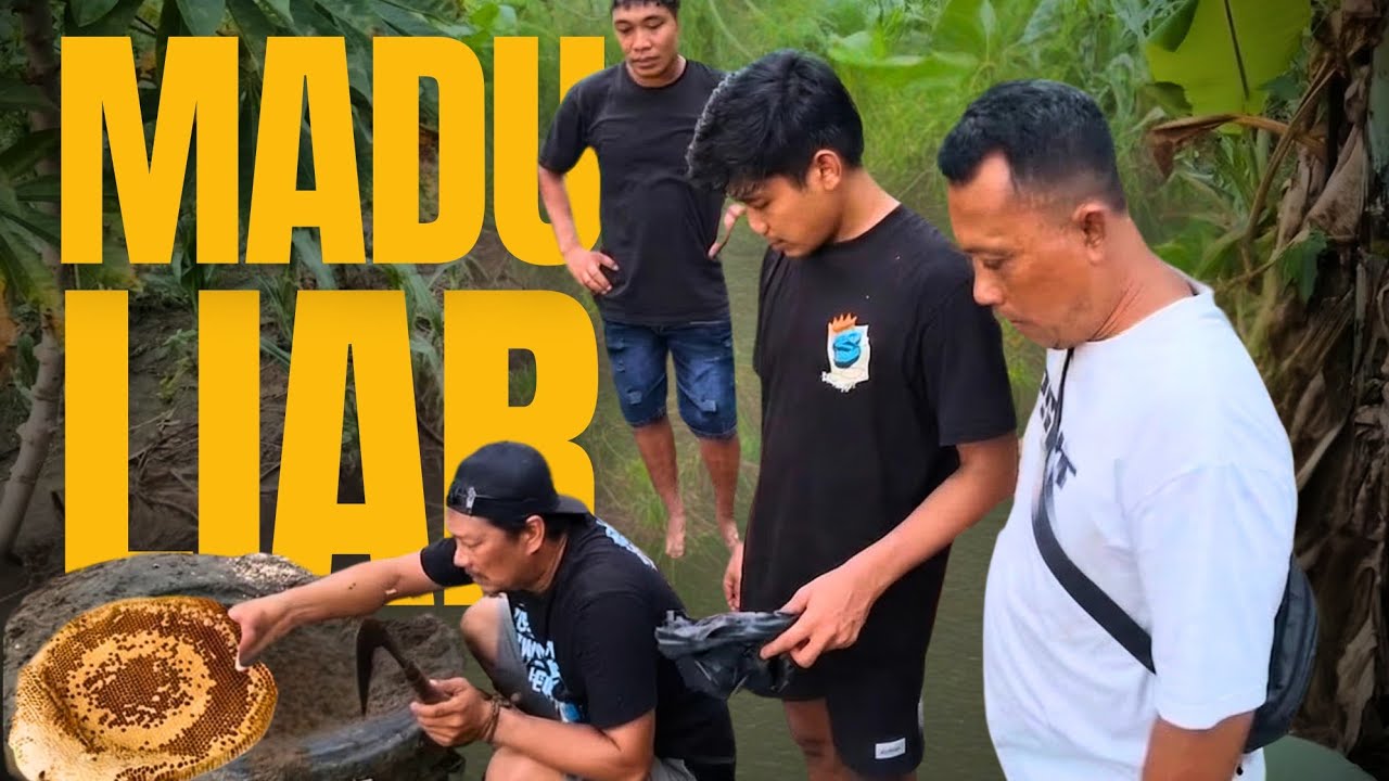 PANEN MADU LEBAH LIAR || ( ANEH ) SARANGNYA DI BAN MOBIL DI TENGAH HUTAN.