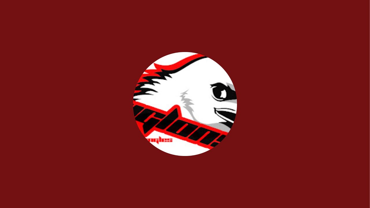 VRH Les Aiglons est en direct !