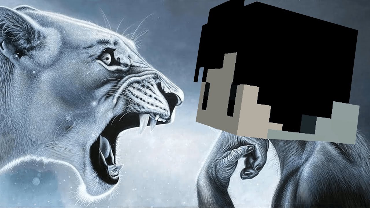 הייתי הרייגבייטר הכי טוב בישראל