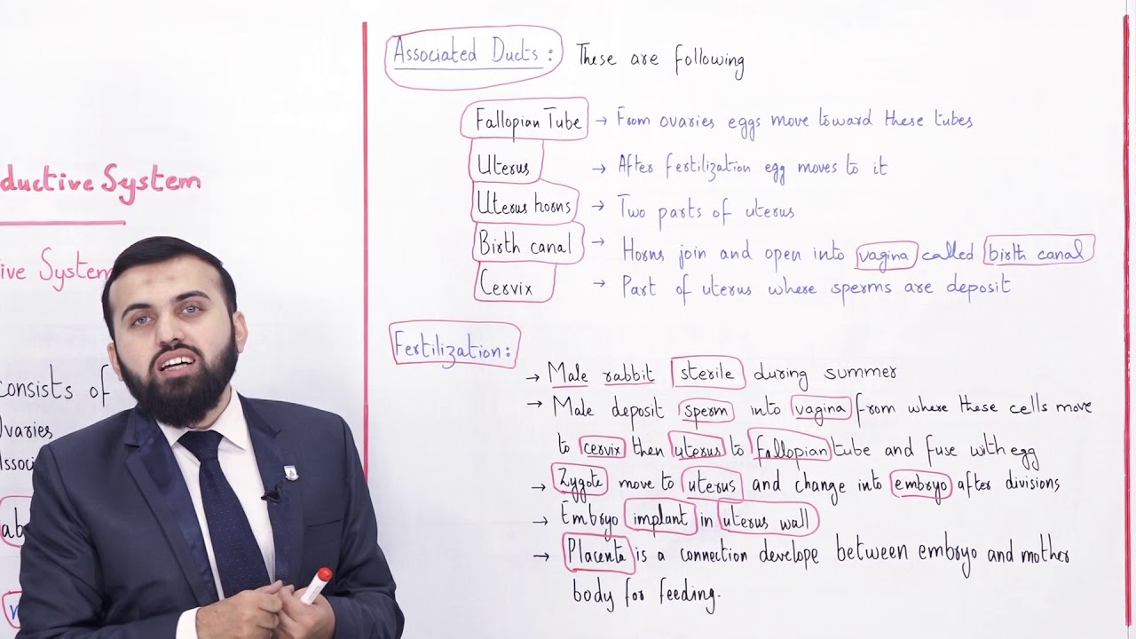 Class 10 - Biology - Chapter 14 - Lecture 13 - Female reproductive system - Allied Schools