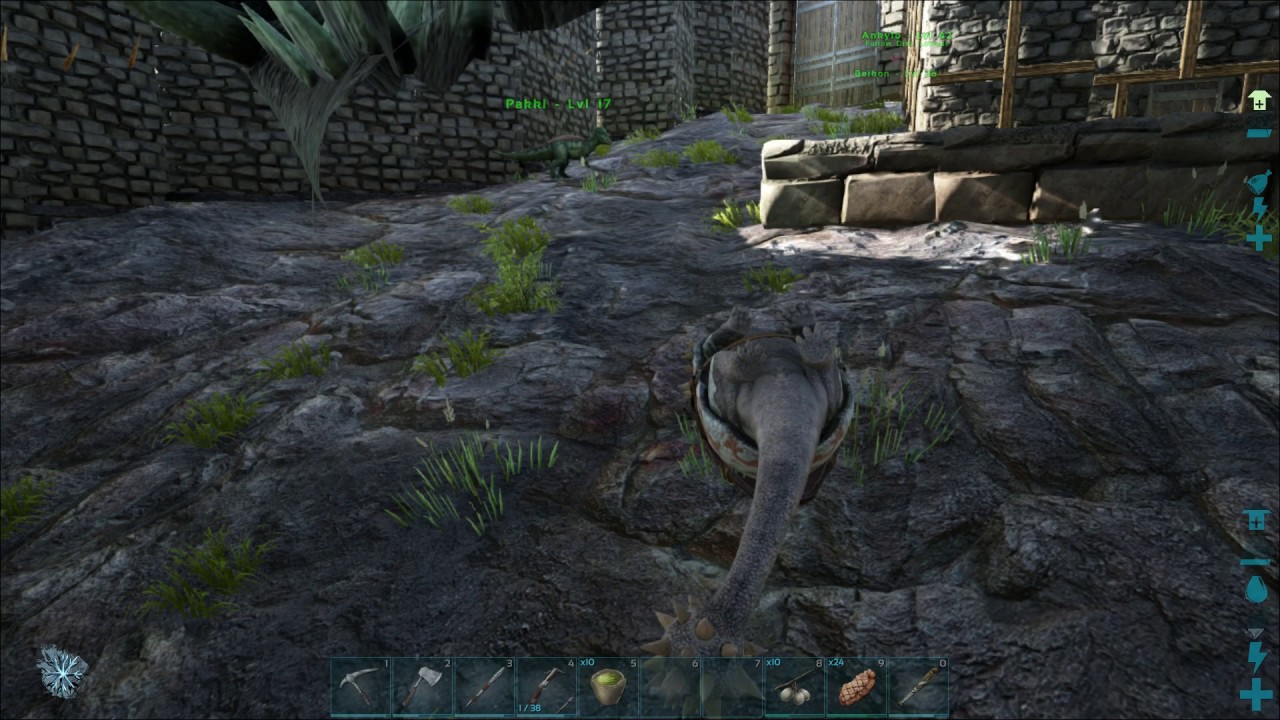 Why does Dino stop when I level it up ? - Ark Survival Evolved