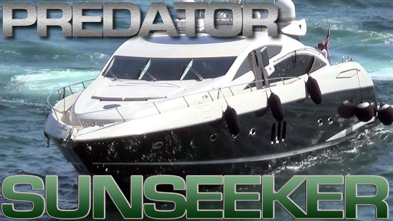 Sunseeker Predator  Docking