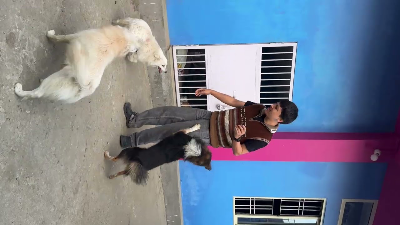 Part - 2 (My mom and my second brother are coming home)