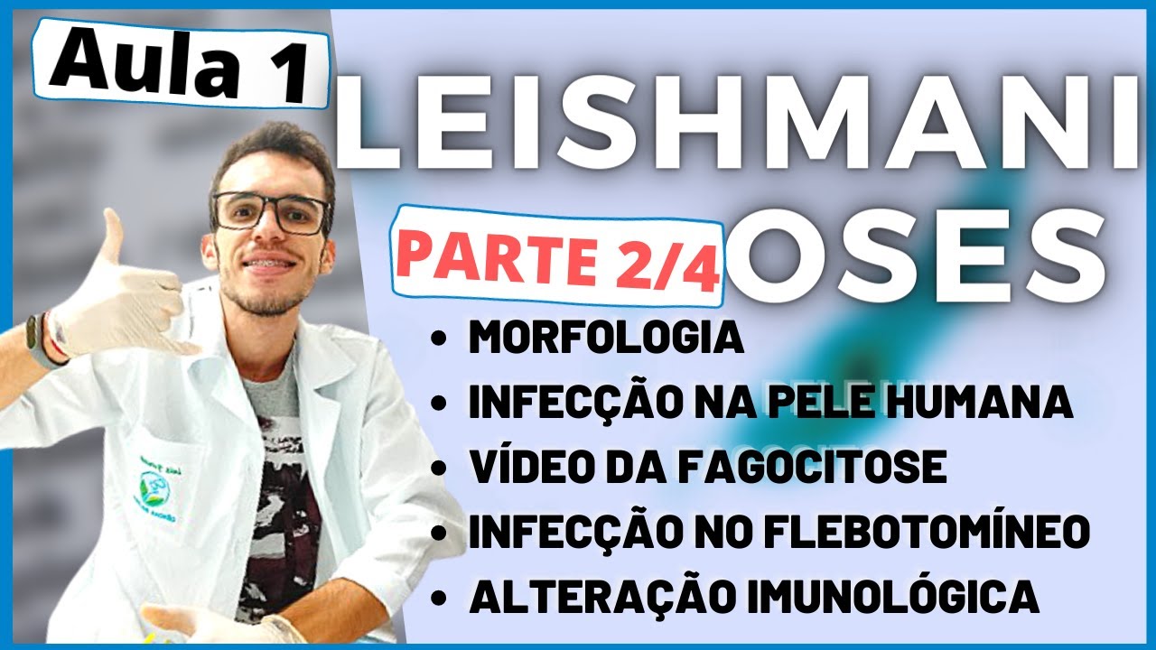 AULA LEISHMANIOSE  Morfologia e resposta imune Ensino Superior Aula 2/4  Luix Parasitologia #7