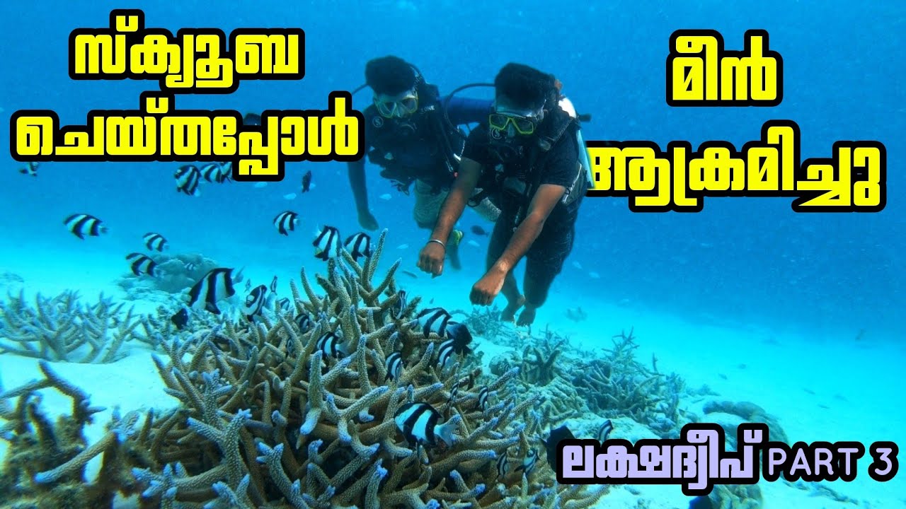EP#3- കടലിനടിയിലിലെ മായികലോകം | lakshadweep tour malayalam | travel vlog malayalam | Scuba diving |