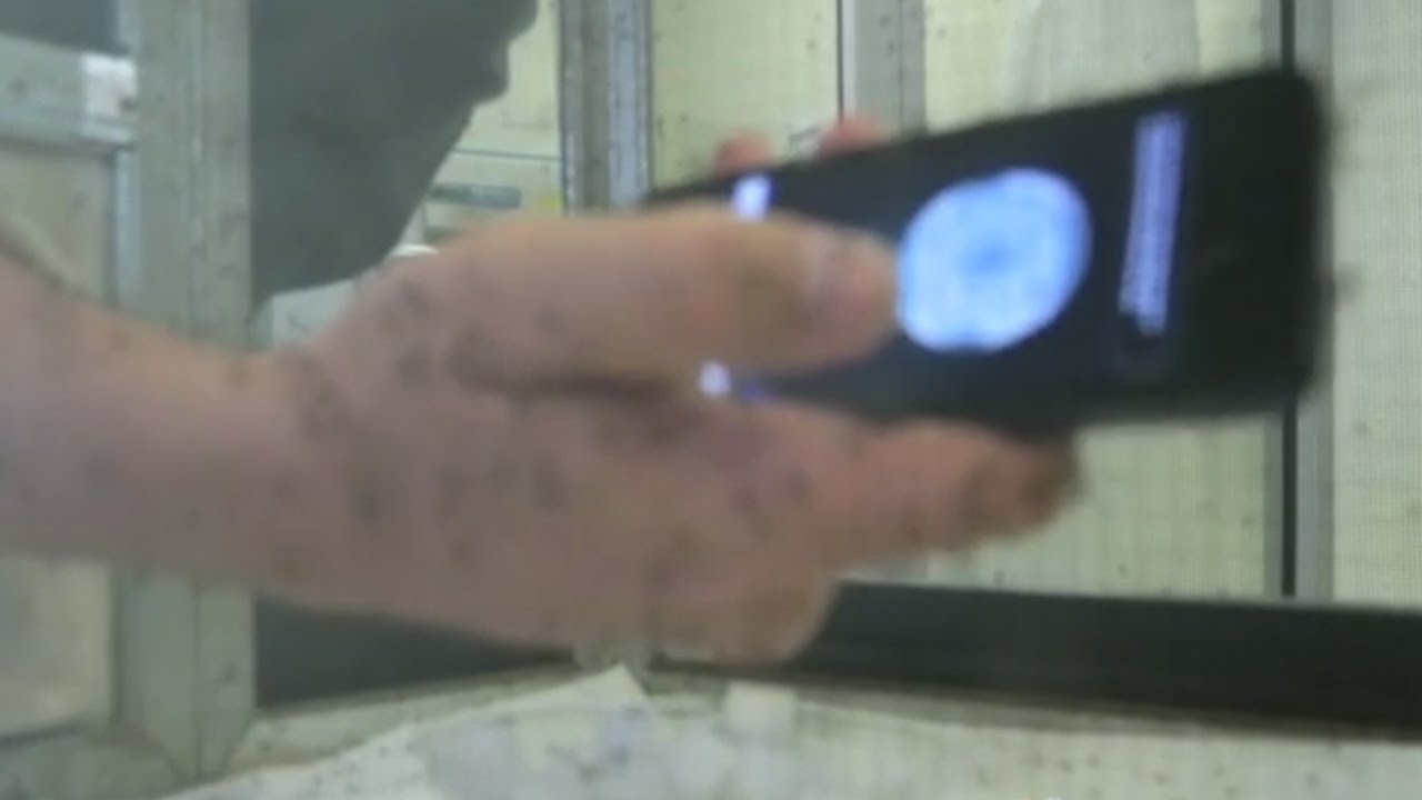 Reporter Sticks Hand In Box Full Of Mosquitos | TODAY