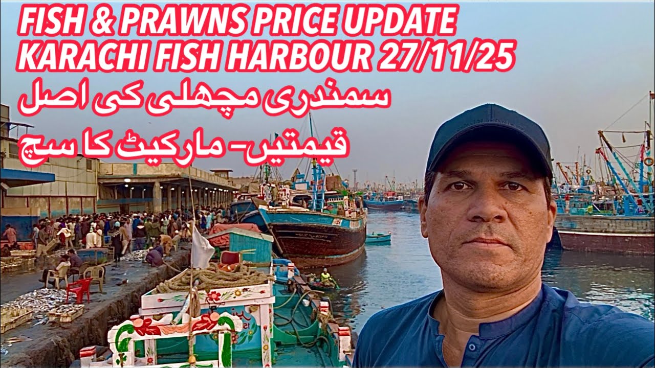 FISH & PRAWNS PRICE UPDATE KARACHI FISH HARBOUR 
