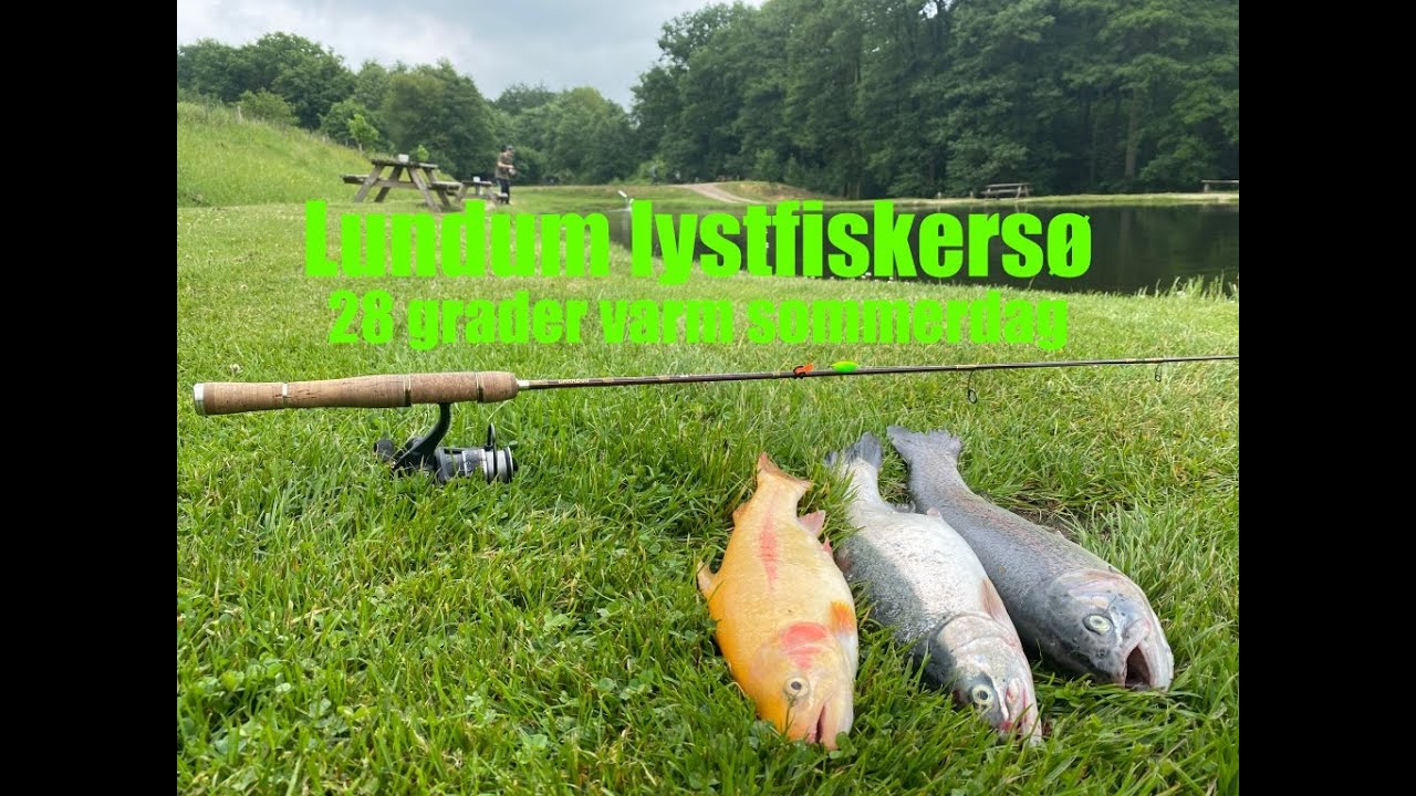 Lundum, selv i stegende hede, er vandet koldt og fiskene friske